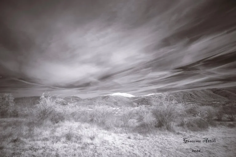 Fotografia Infrared modificata colore
