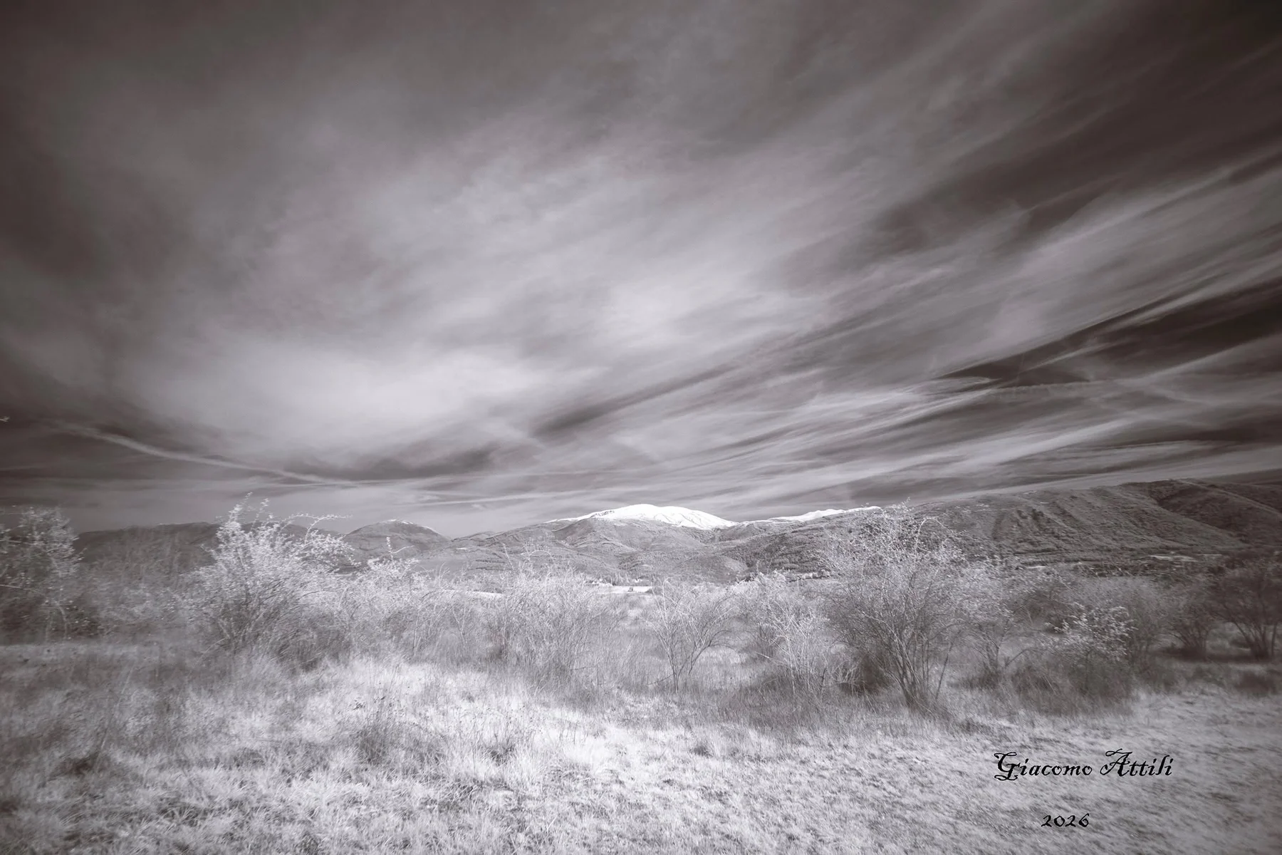 Fotografia Infrared modificata colore