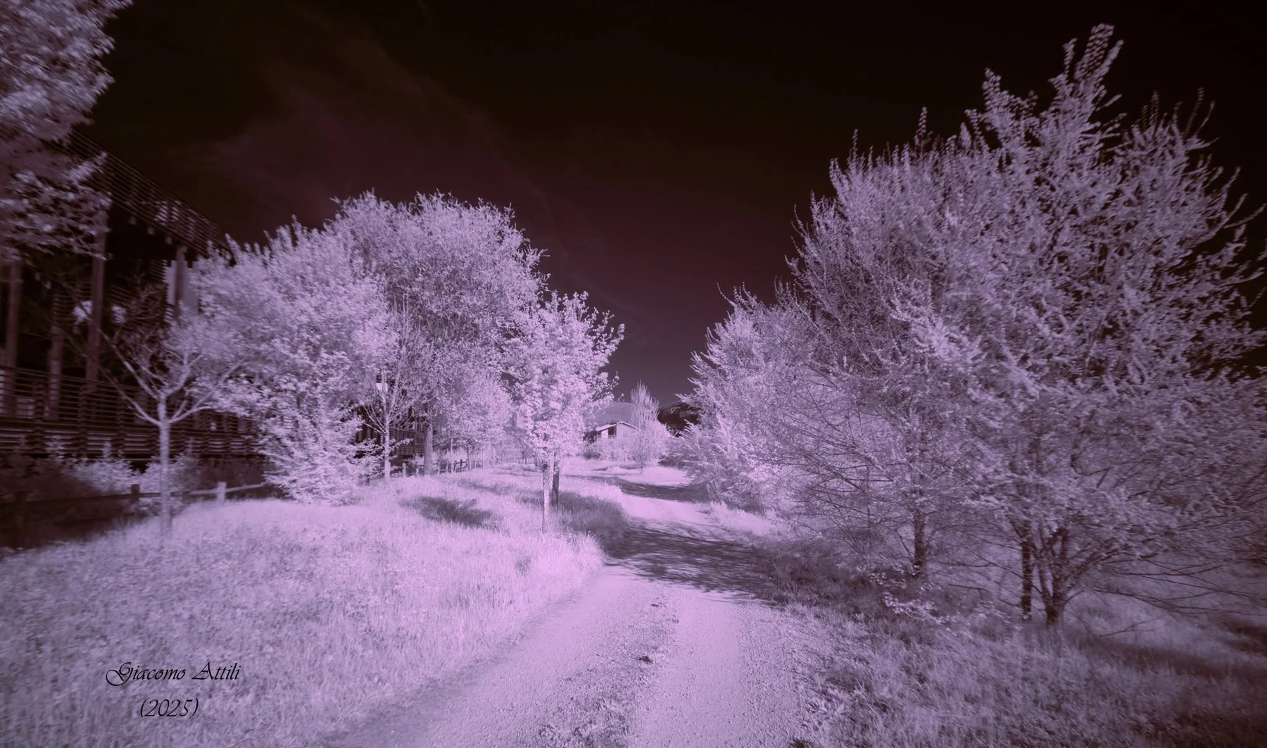 Fotografia Infrared
