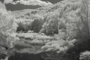Giacomo Attili — Bosco sulla riva, ripresa all'infrarosso Infrarosso