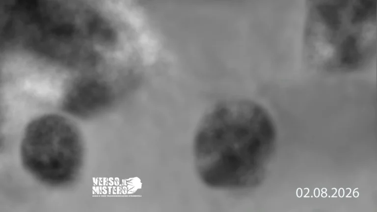 Metavisione – Video Transcomunicazione Strumentale (TCS-V). Sperimentazione effettuata con l’E.M.S. (Ethereal Metavision