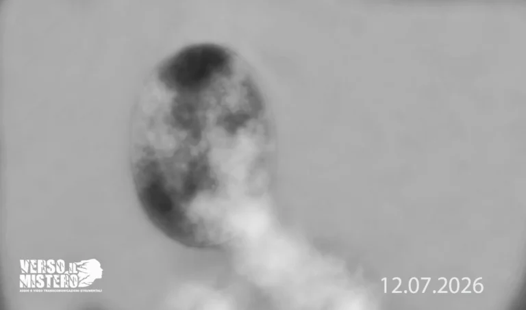 Metavisione – Video Transcomunicazione Strumentale (TCS-V) del giorno 12.07.2026. Sperimentazione effettuata con l’E.M.S