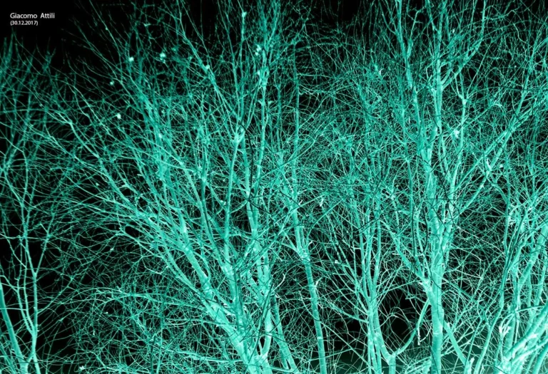 Esiste una trama, una rete invisibile che collega il Tutto
